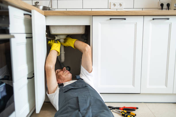 Best Local Plumber Services  in Forest, MS